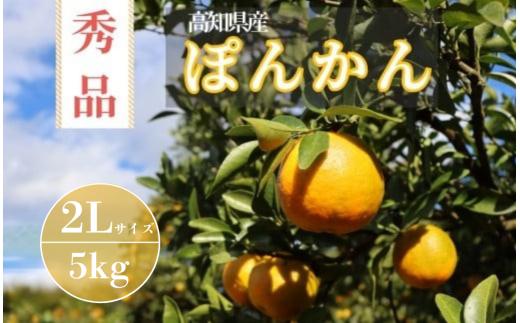 TM003-1 徳村の秀品ぽんかん ＜gが選べる＞国産 東洋町産 訳アリ 甘い コク ジューシー 果肉 高知県 東洋町 四国 お取り寄せ フルーツ 果物 家庭用 自宅用 送料無料