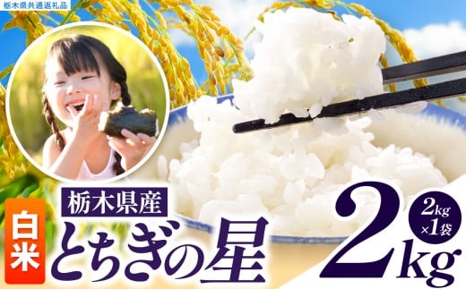いちご農家さん応援米！ 訳あり 令和7年度産 白米 約2kg とちぎの星 | 真岡市産 米 お米 こめ 白米 ご飯 ごはん 大粒 とちぎのほし 限定 ふるさと納税  栃木県 真岡市 送料無料