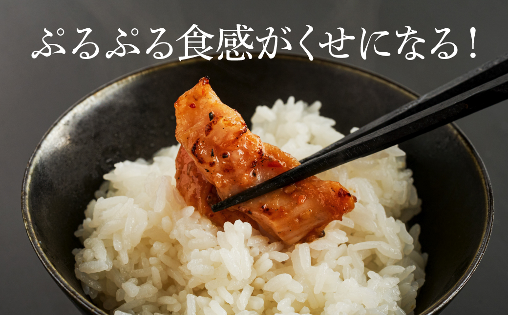 【やみつきになるうまさ！】中出精肉店、国産豚の特上シロ720g（4人前×2袋） 