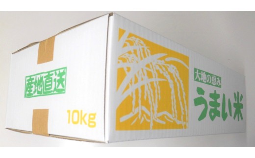令和７年産　山形のお米　米囃子（はえぬき）５ｋｇ×２袋　0017-2539