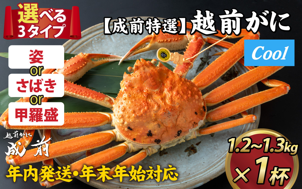 
【先行予約】選べる！美味しさ直送【成前特選】越前かに（1.2～1.3kg）1杯【年内発送・年末年始対応】【O-028020】
