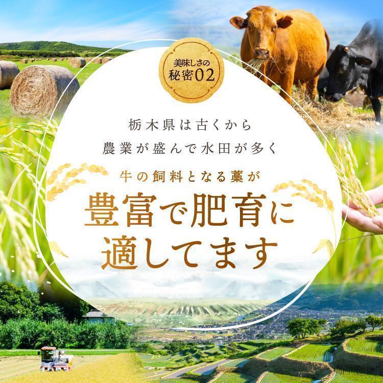 [定期便12回]宮福笑牛(とちぎ和牛) A5 サーロインステーキ 200g×3枚｜数量限定 黒毛 和牛 お肉 栃木県共通返礼品 栃木県産 600g | 定期便12回