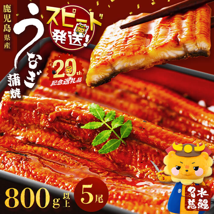 【丑の日までにお届け！7月20日入金まで】【緊急支援企画】【数量限定】鹿児島県産うなぎ蒲焼 名水慈鰻5尾(計800g以上・1尾あたり156〜185g以上) 鰻 ウナギ 5尾 国産 蒲焼 かばやき 冷凍 うな重 ひつまぶし タレ 山椒 ランキング 人気【鹿児島鰻】b