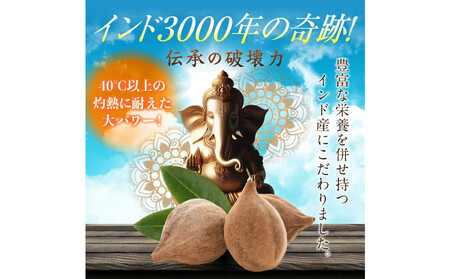 ターミナリアベレリカ サプリ 約4ヶ月分 宝蔵メディカル