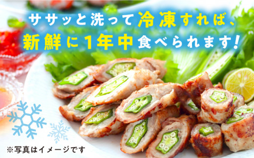 【順次発送】朝採れ オクラ約2kg ＜パッパラパー農園＞ [CFI004 おくら オクラ 野菜 夏野菜 新鮮 やさい おくら 贈答