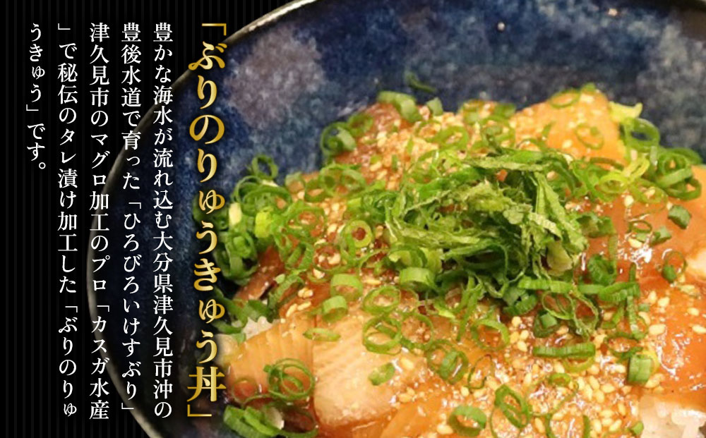 どんぶり3種セット ぶりのりゅうきゅう丼・ひゅうが丼・ねぎとろセット ねぎとろ 鮪丼 まぐろ 大分県産 九州産 津久見市 熨斗対応【tsu000303】