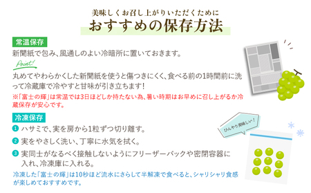 【先行予約】 シャインマスカット 2房 約1kg  うきうきシャインマスカット 【2026年7月下旬-2026年9月下旬頃 順次発送予定】