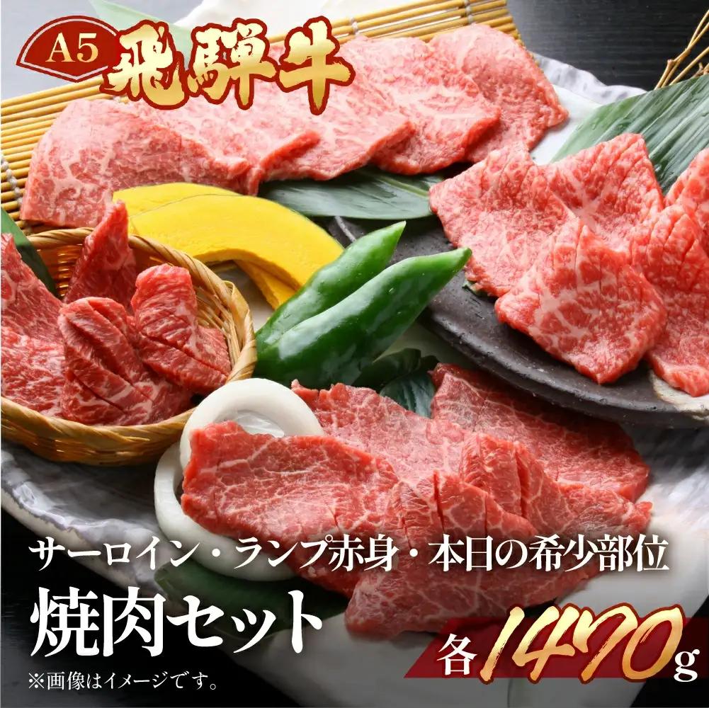 飛騨牛サーロイン・ランプ赤身・本日の希少部位焼肉セット 各490g【11-48】