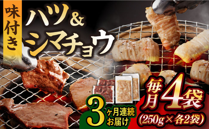 
            【全3回定期便】【塩だれ】九州産和牛 ホルモン2種 計1kg（ ハツ 250g×2袋・ シマチョウ 250g×2袋） 長与町/岩永ホルモン [EAX135] ホルモン焼き 国産 牛肉 ホルモン ミックス 小分け 味付き 冷凍 焼肉 焼き肉 和牛 塩 しお 牛 定期便 ていきびん 定期
          