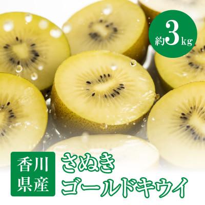 ふるさと納税 高松市 【先行受付2025年】さぬきゴールドキウイ　約3kg