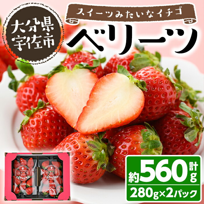 【ふるさと納税】＜先行予約受付中！2026年1月下旬～3月中旬に順次発送予定＞＜数量限定＞ベリーツ いちご (計約560g・280g×2パック) 苺 イチゴ フルーツ 果物 くだもの 果実 ベリーツ【115800300】【大分中央農産】