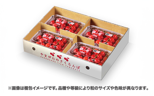 先行予約 さくらんぼ 紅秀峰 720g(180g×4パック)  Lサイズ以上 秀品 山形県産 令和8年産 2026年産 sb-bsslx800