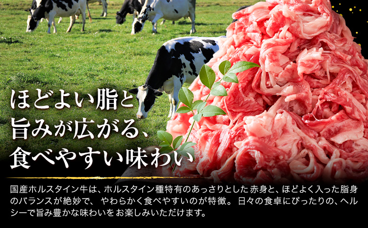 牛肉 肉 国産牛 切り落とし ホルスタイン 大容量 小分け 1.8kg × 6ヶ月定期便 《お申込み月の翌月から出荷開始》岡山県産 岡山県 笠岡市 お肉 にく カレー 牛丼 牛肉 切り落し 小分け 切