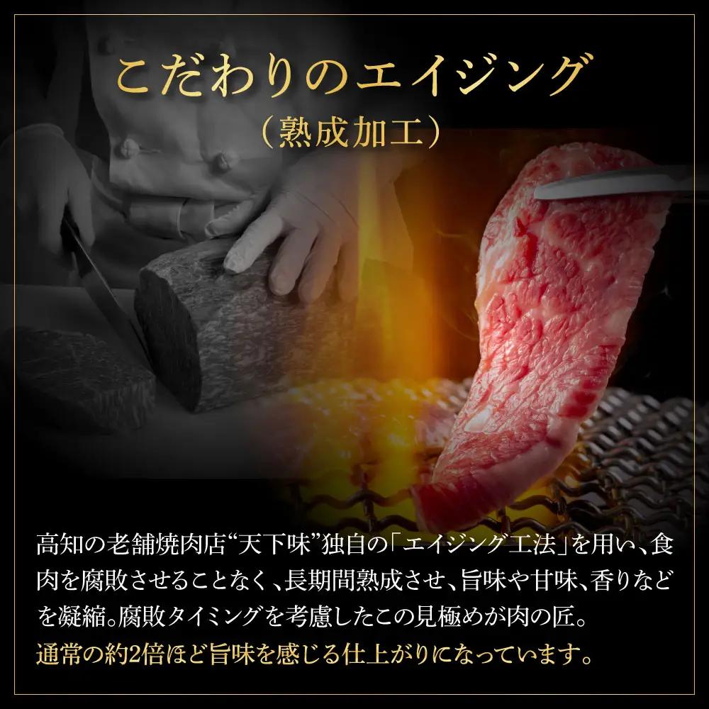 土佐和牛 特選赤身サイコロステーキ 500g×2（田野屋銀象完全天日塩2P付き） 高知県土佐市 【株式会社LATERAL】 [BQAU057]
