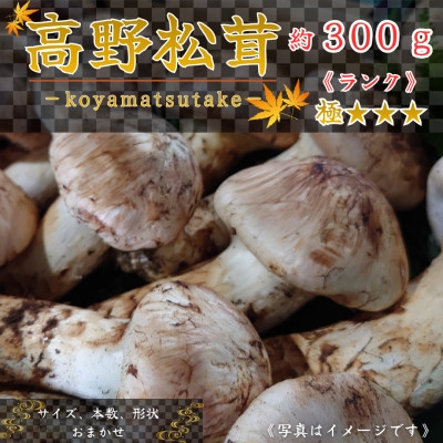 
                  ＜和歌山産＞～香りそのまま真空パック～高級・希少 高野松茸　300g(極:★★★)【1340772】
                