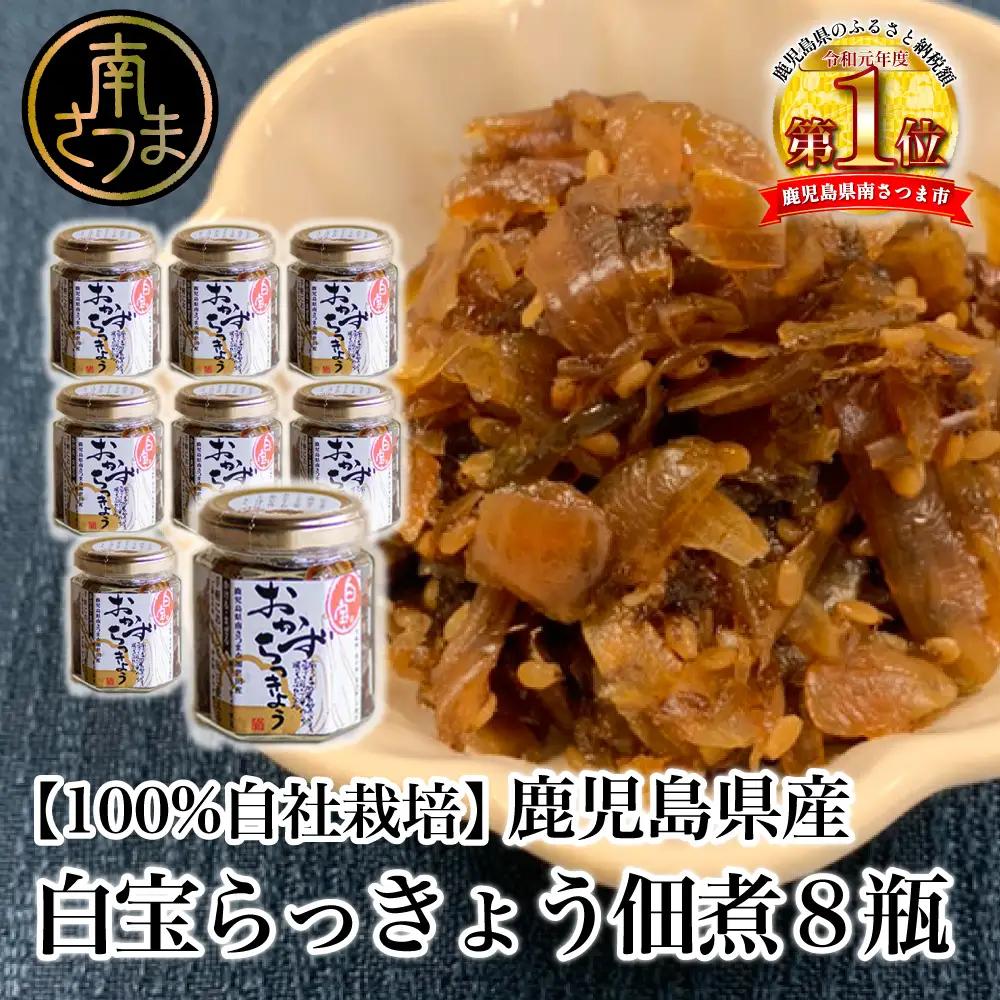 鹿児島県産】白宝らっきょう佃煮 8個 佃煮 つくだ煮 セット 珍味 惣菜 らっきょう 鹿児島 エスランドル 南さつま市