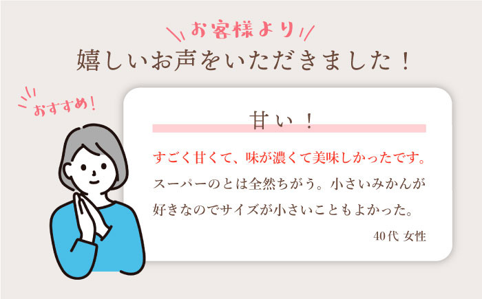 みかん 【特秀品】 原口みかん 10kg
