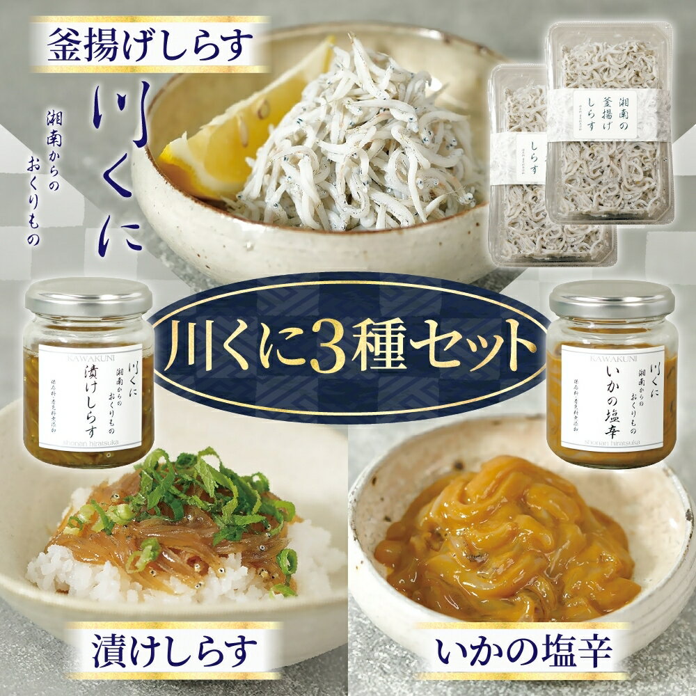 【ふるさと納税】川くに 3種セット 漬けしらす × 1個 いかの塩辛 × 1個 釜揚げしらす × 2個 生シラス しらす 取れたて 冷凍 特製たれ しょう油 いか 一夜干し 釜揚げ お酒 つまみ ご飯 株式会社 川国 神奈川県 平塚市