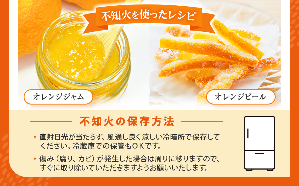不知火(しらぬい) オレンジ みかん 家庭用 5kg