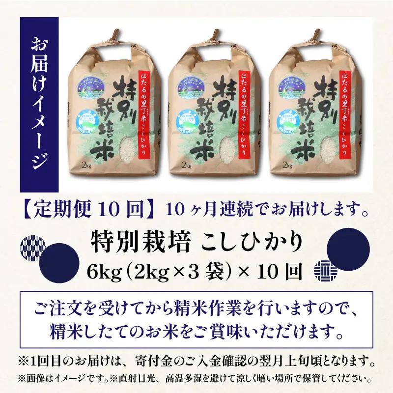 【新米予約受付中】令和8年産 特別栽培こしひかり 6kg 10回定期便【O-002001】