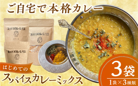 はじめてのスパイスカレーミックス 3種 BKBS003 カレー