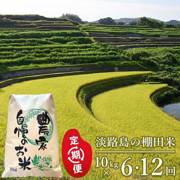 【ふるさと納税】【定期便】淡路島の棚田米　10kg×6回・12回・隔月6回