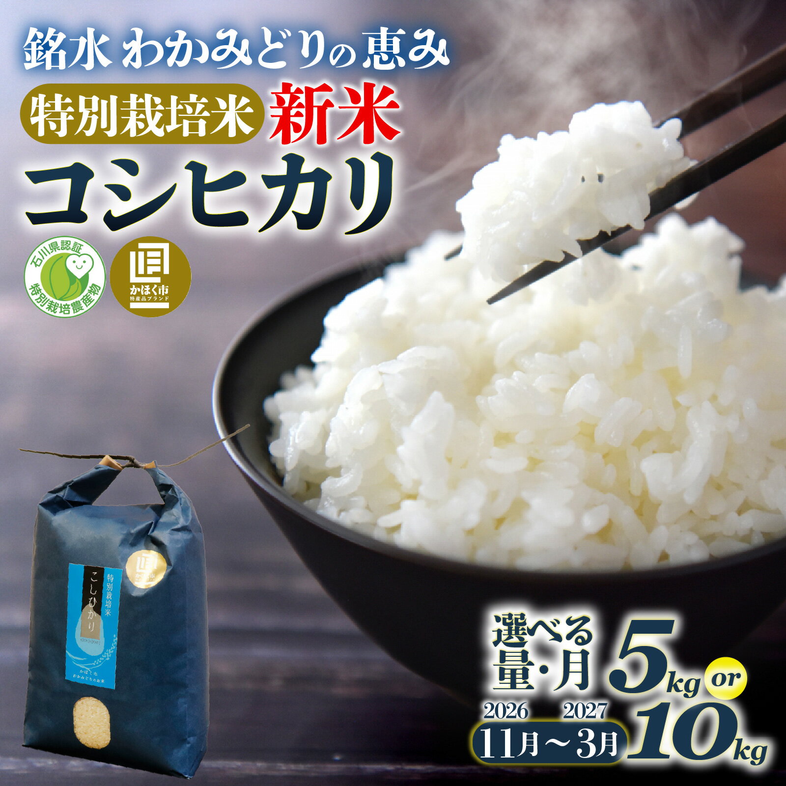 【ふるさと納税】新米 こしひかり 5kg ～10kg 令和8年産【11月～3月配送】 / コシヒカリ お米 米 こめ コメ 白米 ご飯 5キロ 10キロ 若緑産 特別栽培米 単一原料米 国産 食品 常温 お取り寄せ 送料無料