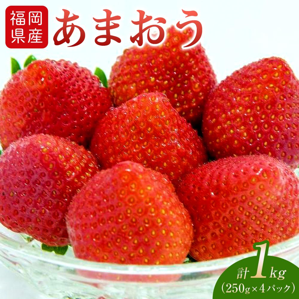 【ふるさと納税】福岡県産あまおう 1kg（250g×4パック） | 楽天ふるさと納税 お取り寄せ 返礼品 苺 いちご イチゴ フルーツ 果物 博多あまおう 食品 人気 おすすめ 福岡県産 福岡県 筑前町 送料無料