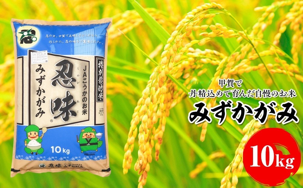 
                  みずかがみ 10kg 甲賀で丹精込めて育んだ自慢のお米
                