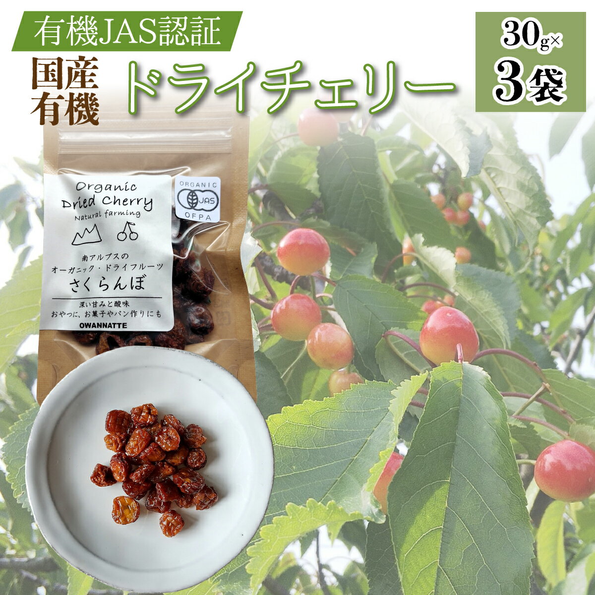 【ふるさと納税】【国産有機】ドライチェリー 30g×3袋 ALPEL011