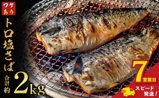 ＼ スピード発送 ／ 訳あり トロ 塩サバ フィレ 約2kg 鯖 さば 訳アリ わけあり 切り身 切身 塩さば 塩鯖 フィレ フィーレ 魚貝 魚介 人気 冷凍 冷凍食品 大容量 海鮮 家庭用 レシピ おかず おつまみ 惣菜 弁当 不揃い 規格外 傷 味噌煮 煮付け 竜田揚げ グルメ 贈答 贈物 ギフト 長期保存 小分け お取り寄せ ふるさと納税 ふるさと納税鯖 送料無料 千葉県 銚子市 飯田商店