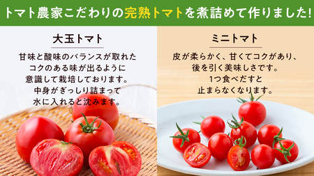 【 数量限定 】 -太陽の味- 渋谷トマト トマトジュース 500ml×3本 セット トマト フルーツトマト ミニトマト 茨城 リコピン ビタミン 野菜 甘い 直売所 食塩無添加 500ml 1500