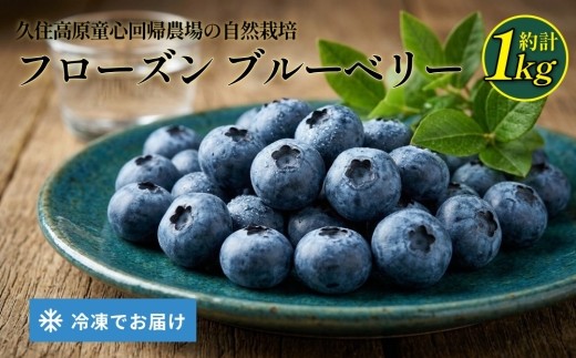 久住高原童心回帰農場の自然栽培 フローズン ブルーベリー 約1kg