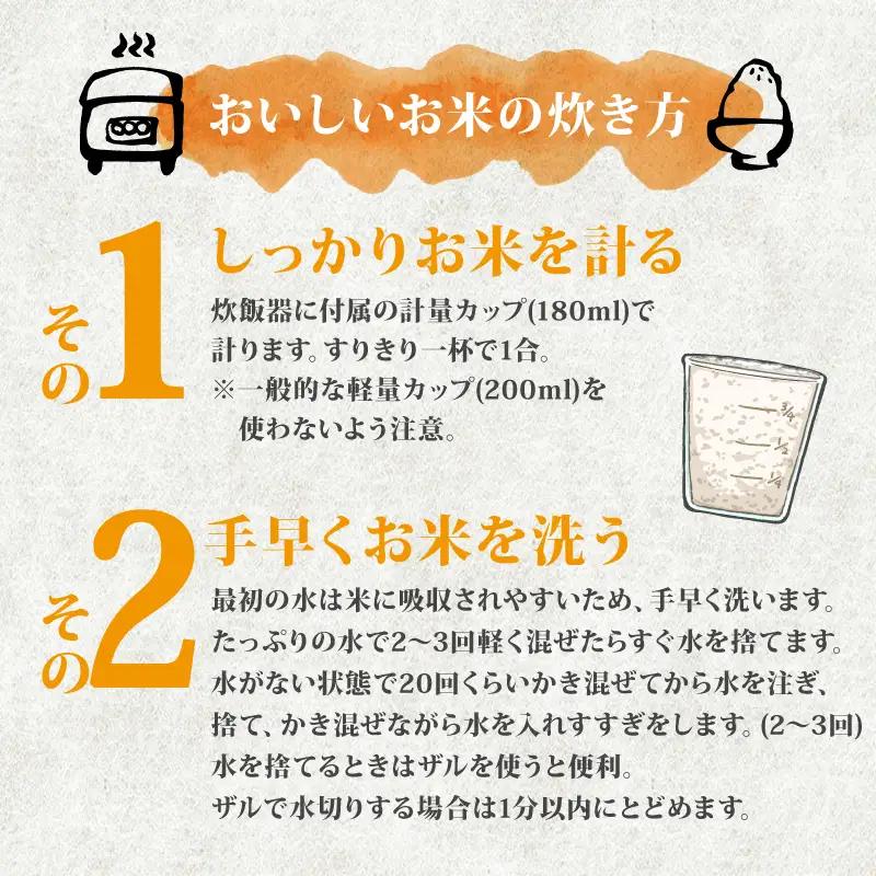 最短3日発送 新米 新潟県産 コシヒカリ 5kg 新米 令和8年産 こめ コメ 米 新潟 新潟県産 こしひかり 白米 こめ ごはん おにぎり お弁当 農家直送 産地直送 ふるさと納税 四代目 悠助 新