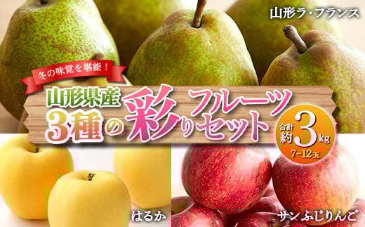 《先行予約 2026年度発送》冬の味覚を堪能！3種類の彩りフルーツセット  りんご リンゴ 林檎 デザート フルーツ 果物 くだもの 果実 食品 山形県 FSY-0136