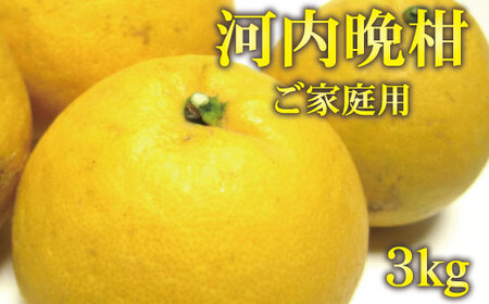 柑橘 フルーツ 果物 【2025年4月発送】【和製グレープフルーツ】有田育ちの河内晩柑(ご家庭用)　約3kg※北海道・沖縄・離島配送不可【ard028A】
