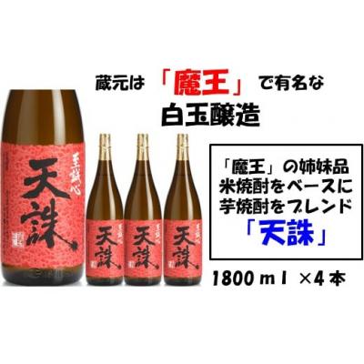 ふるさと納税 錦江町 【魔王の姉妹品】白玉醸造の「天誅」4本セット(No.3029-1)
