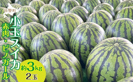 ＜2026年8月上旬より順次お届け＞北海道壮瞥産 小玉すいか（赤肉・ピノガール）2玉約3kg スイカ　　【 ふるさと納税 人気 おすすめ ランキング スイカ すいか 西瓜 甘い 小玉 北海道 壮瞥町 送料無料 】 SBTN004