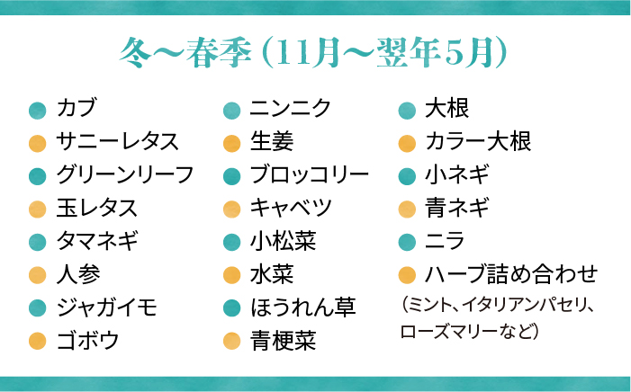【冬～春（11月～5月）】選べる！オーガニック野菜7品セット《糸島》【オーガニックナガミツファーム】 [AGE033]