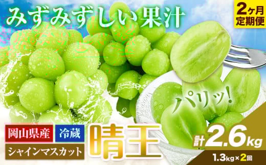 シャインマスカット 2ヶ月 定期便【2026年先行予約】シャインマスカット 晴王 約1.3kg 岡山県産《2026年9月上旬-10月末頃出荷(土日祝除く)》 ハレノフルーツ マスカット 送料無料 岡山県 浅口市 フルーツ 果物 贈り物 ギフト 国産 岡山県産 くだもの【配送不可地域あり】