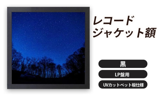 レコードジャケット額 黒 LP盤用 UVカットペット板仕様 [No.704] ／ フレーム 額縁 高品質 岐阜県