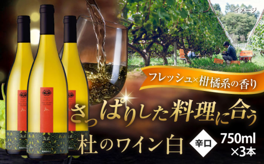 ワイン 奥出雲葡萄園 杜のワイン白　3本セット   国産 ワイン セット 白ワイン 3本 3本セット 詰め合わせ 飲み比べ セット まとめ買い お酒 酒 アルコール 日本ワイン 国産ワイン 地ワイン 750ml やや甘口 スッキリ 飲みやすい お取り寄せ 贈り物 プレゼント お祝い 誕生日 記念日 パーティー 人気 おすすめ 送料無料 島根県雲南市/有限会社奥出雲葡萄園 [AICS052]