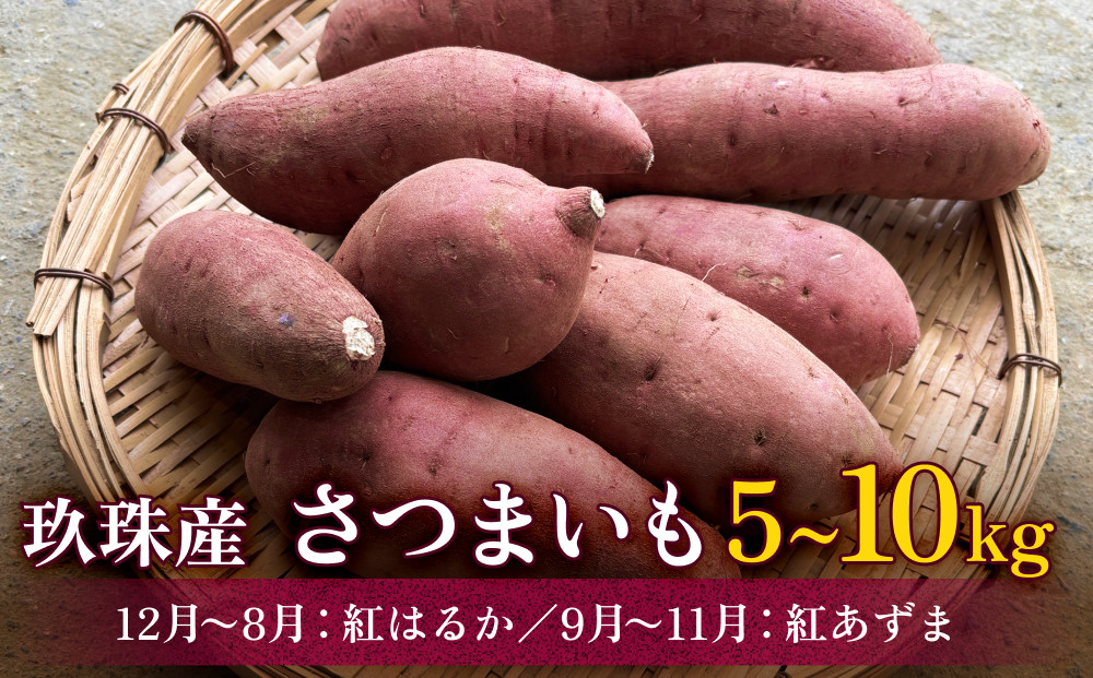 
            大分県産 玖珠産　さつまいも5kg - 10kg　紅はるか （12月～8月） 紅あずま （9月～11月）　
          