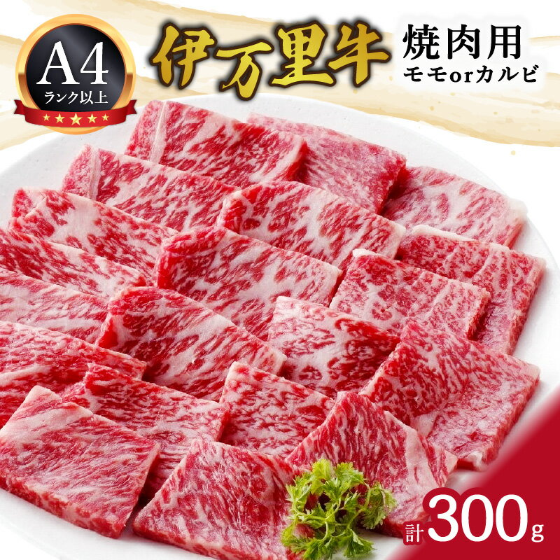 【ふるさと納税】伊万里牛焼肉用 061-J1861【 バーベキュー 国産牛 焼き肉 和牛 モモ カルビ ふるさと納税 伊万里牛 】