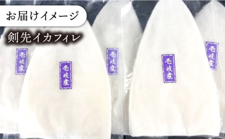 ケンサキイカ 刺身 & 一夜干し セット 剣先イカ 烏賊 《壱岐市》 【一支國屋】 おつまみ フィレ  [JCC009] 17000 17000円 イカ いか 剣先イカ 剣先 一夜干し 干し セット 