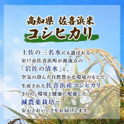 ふるさと納税 室戸市 米 5kg 令和7年度産 コシヒカリ こしひかり |  | 01