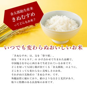 金太郎飴生産米 きぬむすめ 山口美祢産