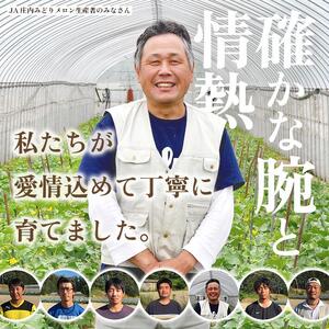 SA2610　庄内砂丘プレミアムメロン(青肉・赤肉) 各1玉 1.7kg以上　計2玉