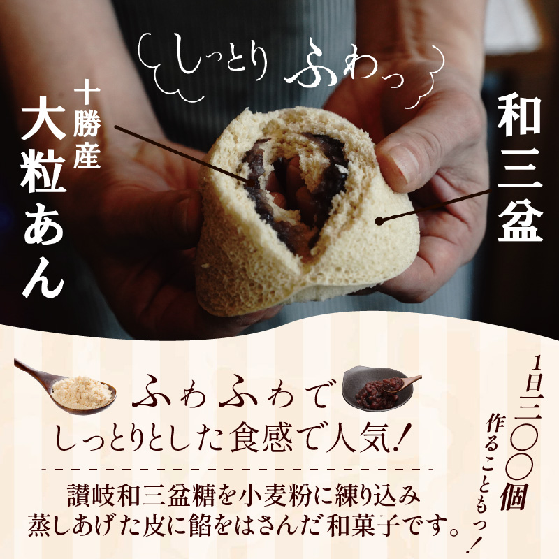 【蒸しどら プレーン 5個入 】和三盆 どら焼き 餡 ふわふわ しっとり食感 あいちの匠 ものづくりマイスター 優秀和菓子職 愛知県優秀技能者表彰受賞 H181-007