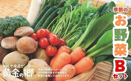黄金の郷　季節のお野菜お楽しみBセット ◇｜ 野菜・セット・詰合せ・野菜・きのこ ※配送不可地域あり【aubless002】